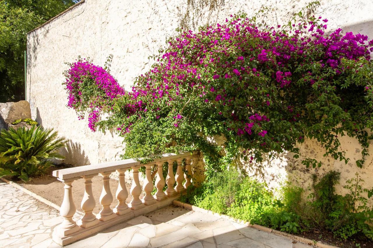Cannes Villa Simone 외부 사진